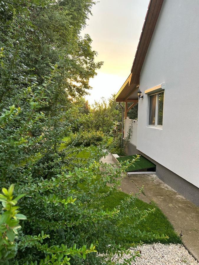 Kisvirag Vendeghaz Villa Balatonvilágos Eksteriør bilde