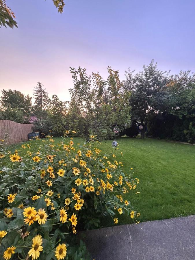 Kisvirag Vendeghaz Villa Balatonvilágos Eksteriør bilde