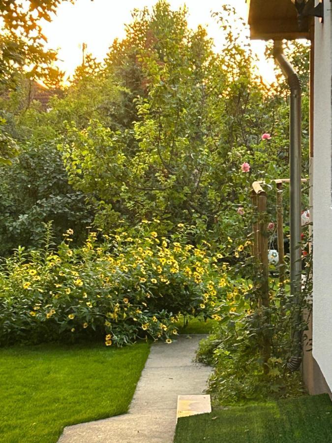 Kisvirag Vendeghaz Villa Balatonvilágos Eksteriør bilde