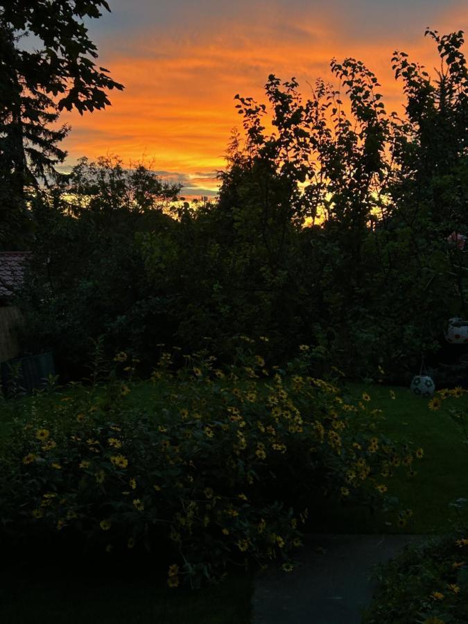 Kisvirag Vendeghaz Villa Balatonvilágos Eksteriør bilde